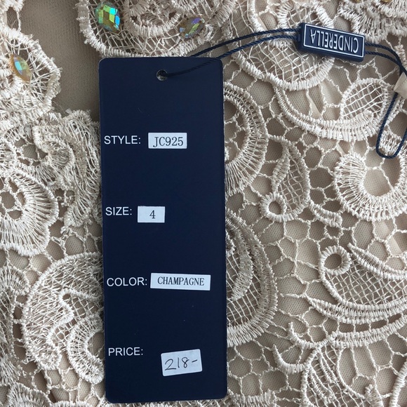 Beautiful Cinderella lace champagne dress - Picture 5 of 5